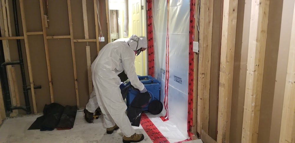 416 ​​Restoration Water Damage Toronto Mold Removal